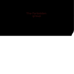 The Nobody 16667