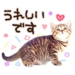 .ᐟ