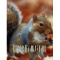 (2024!!) Grass Gymnastics Public Gym