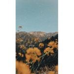 Airiella