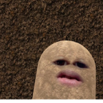 hello fellow potato
