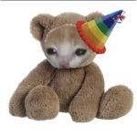 Eptis teddy bears
