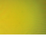 Gaming yellow boy playz robloxx