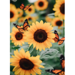 Sunflower Fans :)))