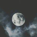 "#¤dark_BROS_LOVE_DIE