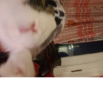 Eeeeeee5