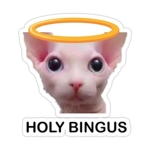 holy Cat gang