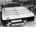 Roblox Wrestleing