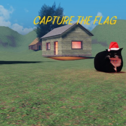 CAPTURE THE FLAG (SPRING🌻)