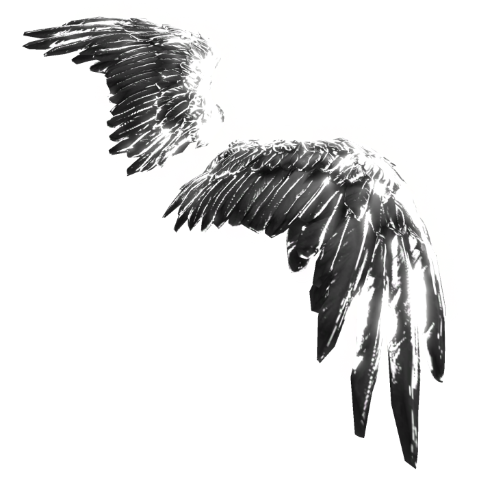 [GLOWING] Black Angel Wings