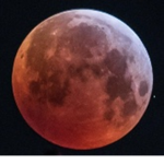 The red moon society