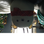 The mushroom gang!!!!!!!!!