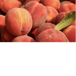 little pink peach