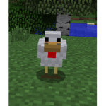Chicken23