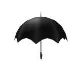 Magical Umbrella