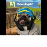 fornitepugs