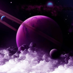 Purples_paradise