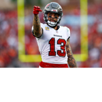 Mike Evans fan group