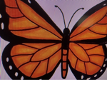 Butterfly’s are just