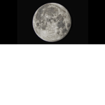Moon crime family