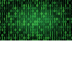 the hackers/white hat