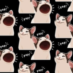 POPCATS ARE GOOD