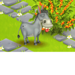 ~Exotic animal~