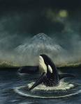 Juls lovely orcas!