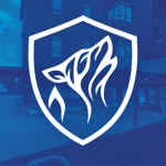 Wellfield School Group Thumbnail