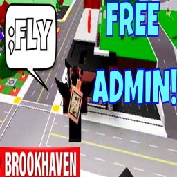 Brookhaven But With Admin
