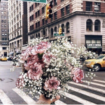 -Fallinq flowers-