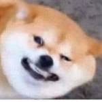 you like yeet group
