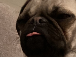 Farting under the pillow