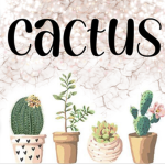 Color Cactus