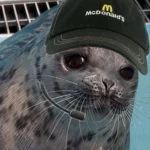 McSeal Group Thumbnail