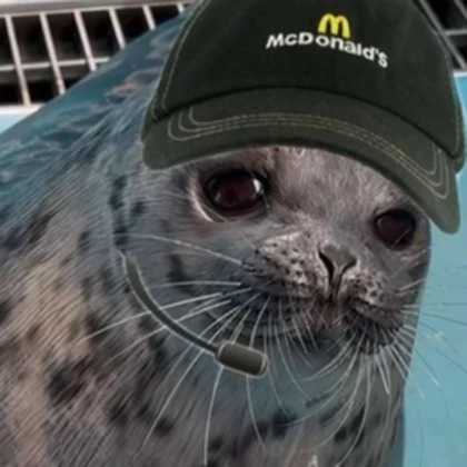McSeal Roblox group icon