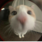 Bruna_R.o.b.Xgame