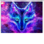 Galaxy fox forever