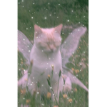CaticornSquad