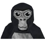 Gorilla tag group for pros