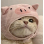 SadTrash