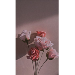 친해지면 로벅쯔 주께요