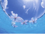 Sea flower