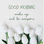 Skittles group! have a sweet and sour and good day