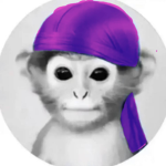 funds for jester