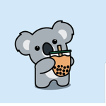 KOALA CLUB !