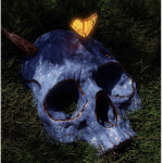 xoskeleton