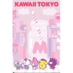 Sanrio kawaii group!