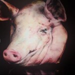 [FIX] [REMAKE] Побег от CBINTUSA!🐷