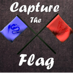 Capture the flag! Become a bro baddie!